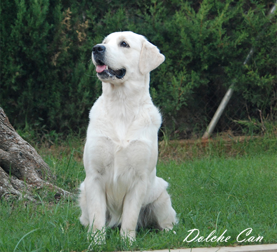 Leia con 17 meses