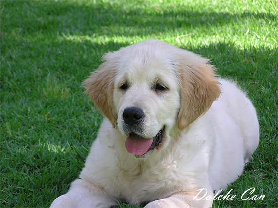 Naya con 3 meses