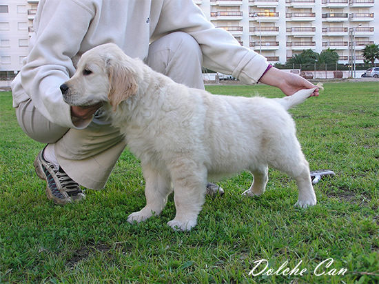 Naya con 2 meses y medio