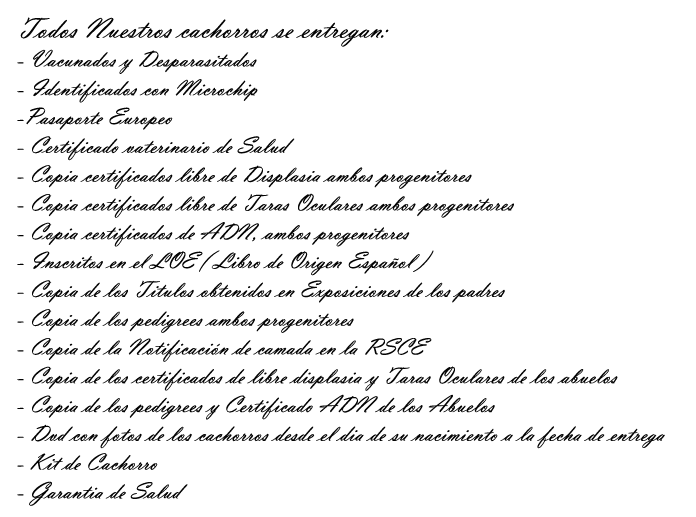 Todos nuestros cachorros se entrega