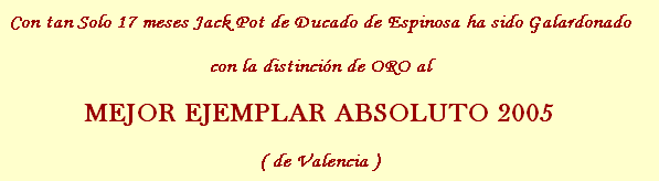 Koda Galardonado con la distinción al mejor ejemplar absoluto 2005