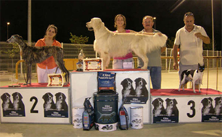 Koda entrega Trofeu