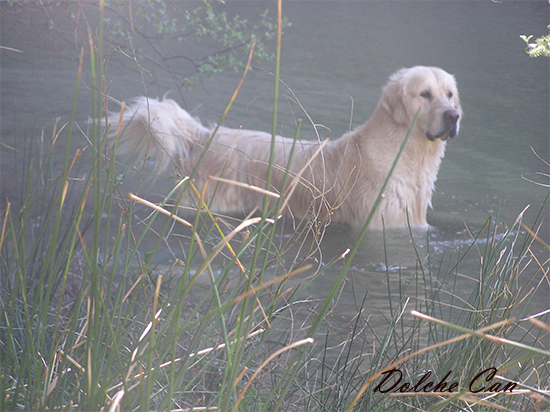 Koda Barranc Encantada